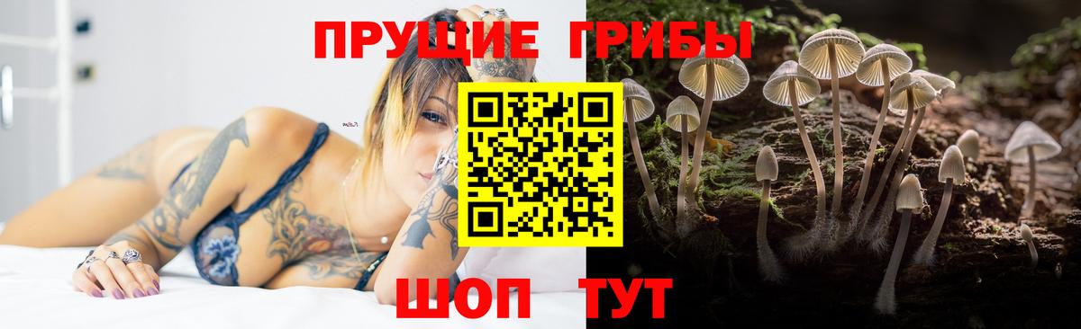Уварово  цены наркотик  Вход с VPN  Псилоцибиновые грибы MAGIC MUSHROOMS 
